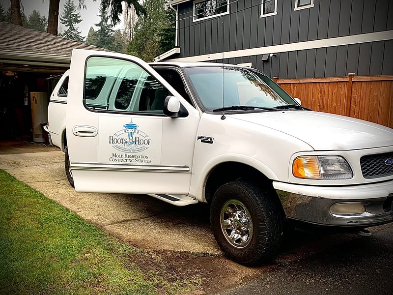 Seattle Mold Removal & Water Damage Restoration Services